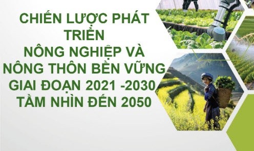 Nông Sản Tây Nguyên