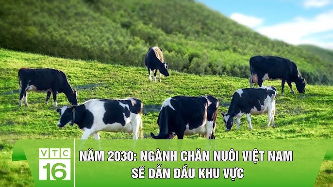 chăn nuôi ở việt nam